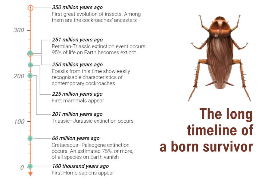image-png-aug-12-2022-11-00-12-50-am image-png-aug-12-2022-11-00-12-50-am