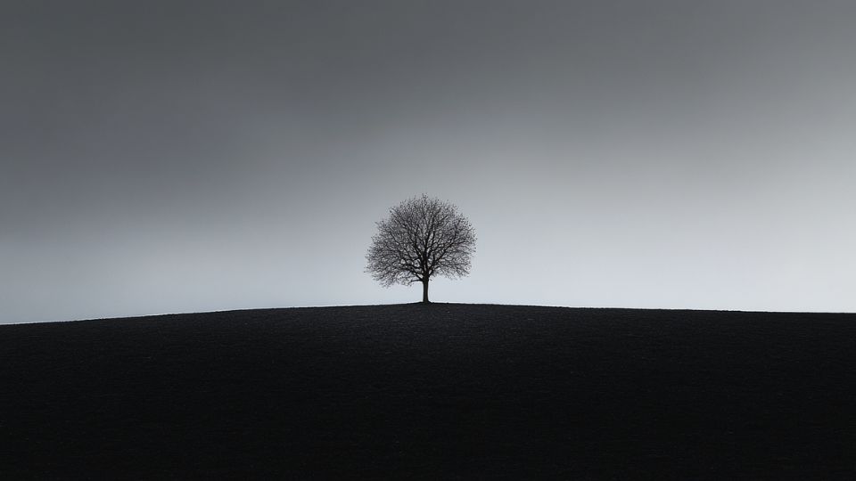 stand-alone-safal-niveshak stand-alone-safal-niveshak