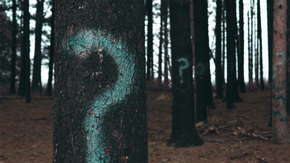 9th-letter 9th-letter