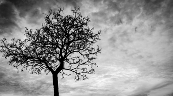 What happens to your Investments if you Die? Nomination Process & Benefits